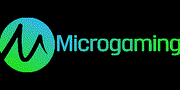 Micro Gaming provider